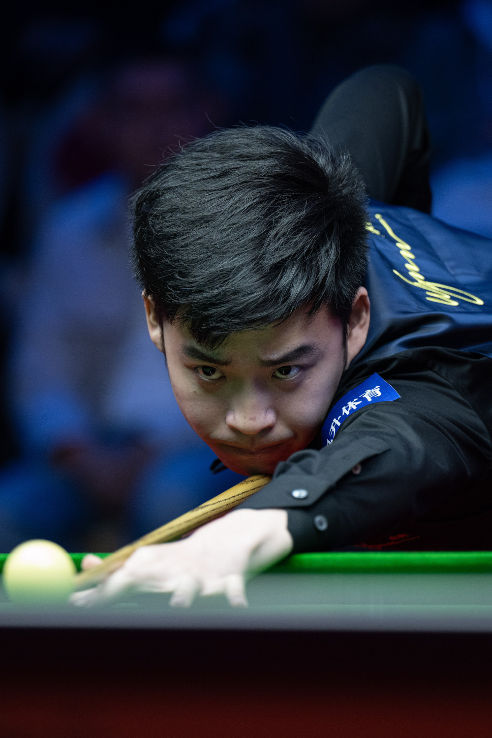 对残疾人的 对残疾人的