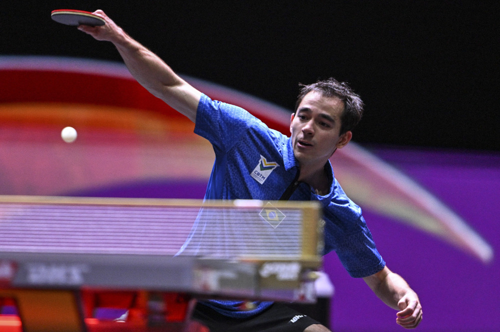 容生态看 容生态看